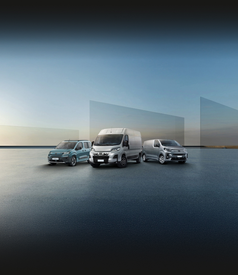 İşin de Fırsatın da Profesyoneli