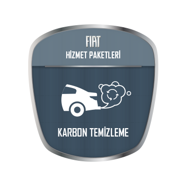 KARBON TEMİZLEME